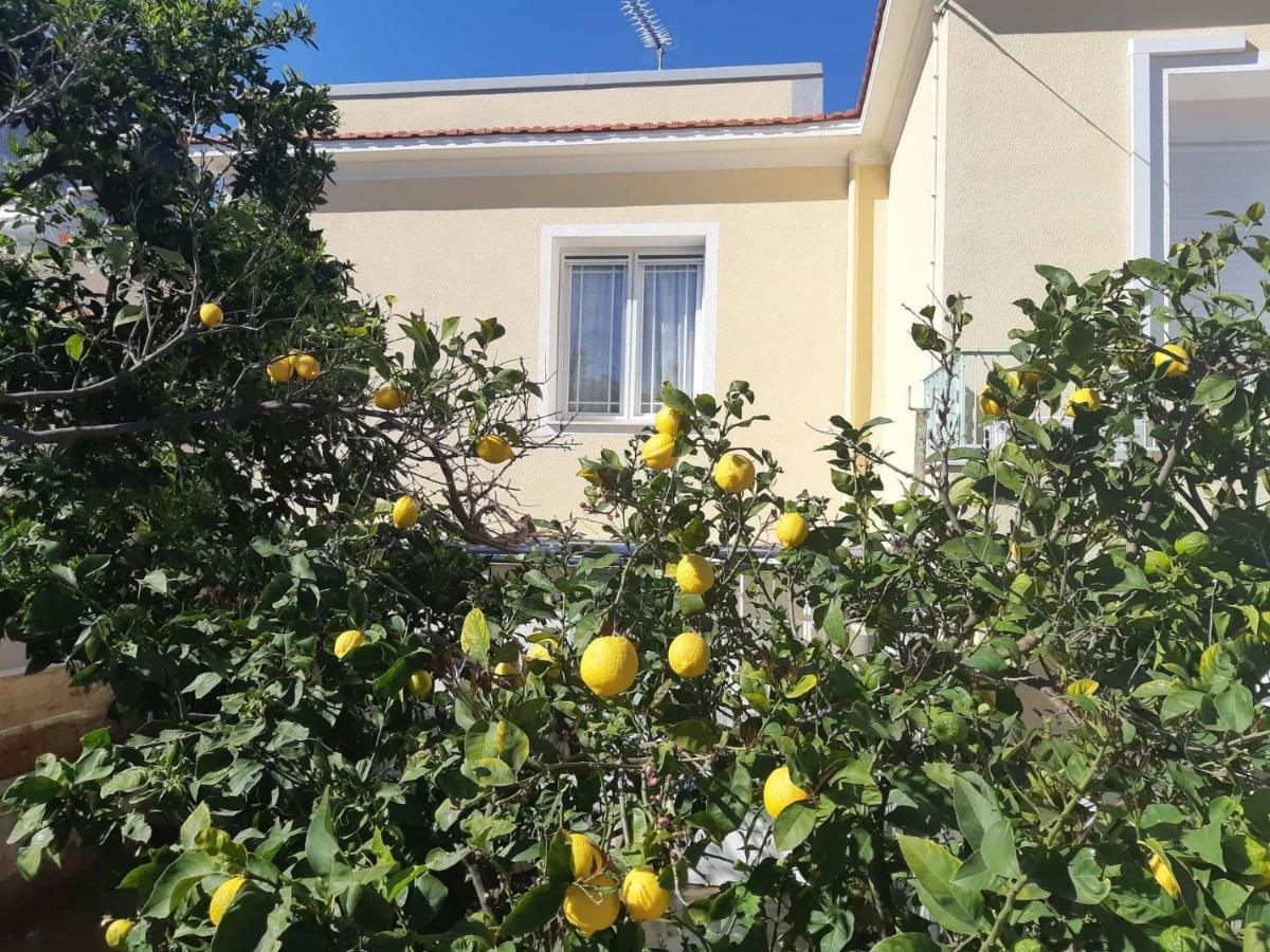 Odysseus Apartment Vrontados Exterior photo